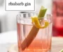 How To Make Rhubarb Gin Recipe