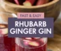 The Best Homemade Rhubarb And Ginger Gin Liqueur Recipe