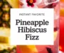 Pineapple Hibiscus Fizz Recipe
