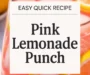 Pink Lemonade Punch Recipe! {The BEST}